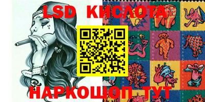 прущие грибы Керчь