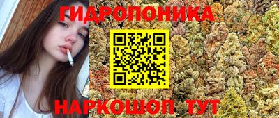 прущие грибы Керчь