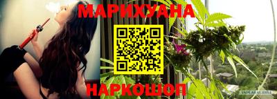 сатива Когалым
