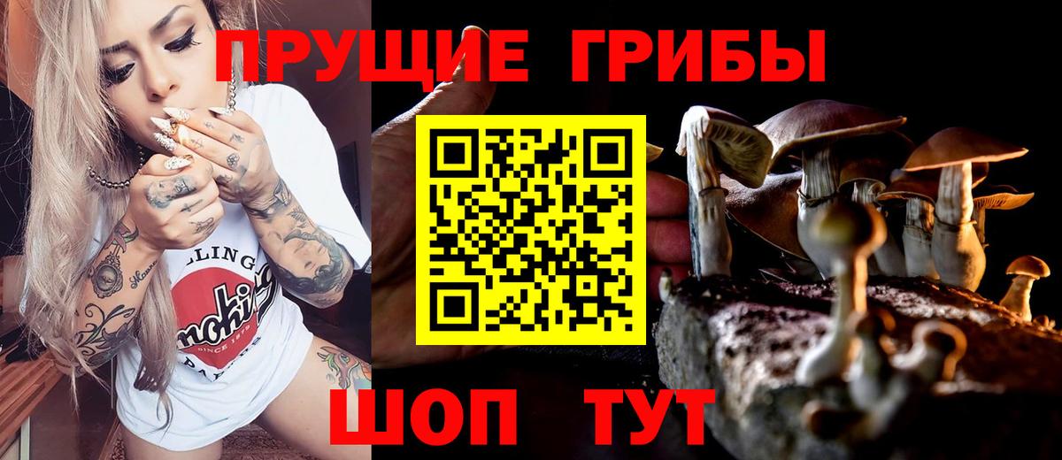 Псилоцибиновые грибы Cubensis  Галлюциногенные грибы Psilocybe  Мценск  Вход с VPN 